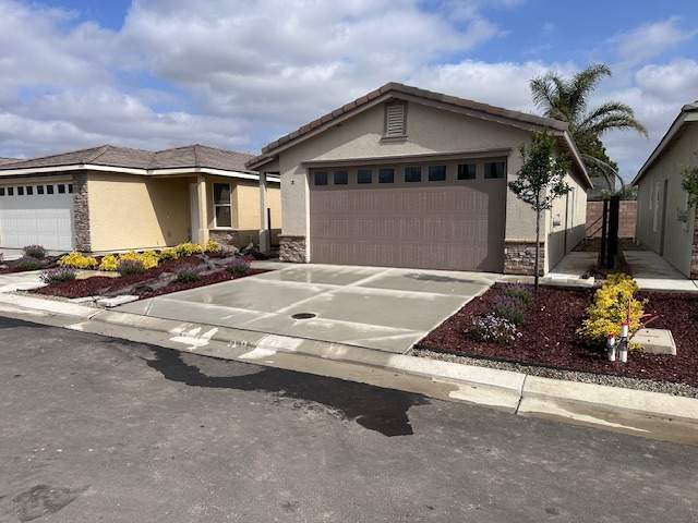 olive-villas-ceres-new-homes
